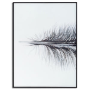 The Floating Feather Picture