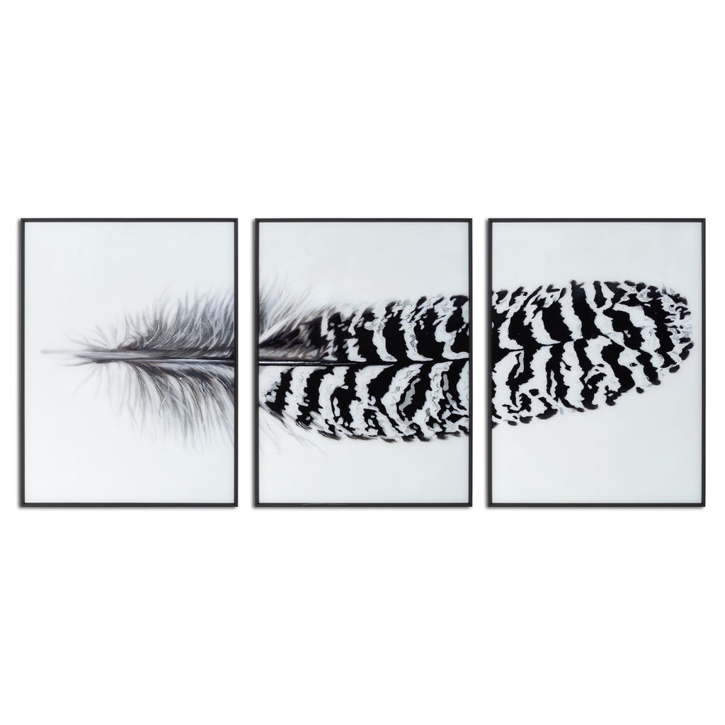 Black and White Feather Wall Art